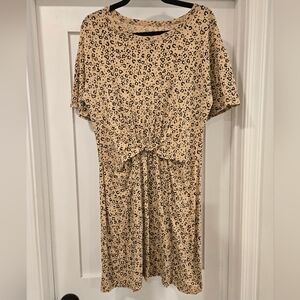 Aerie Leopard Print Tie-Front Dress